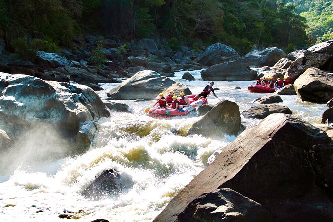 Barron Gorge White Water Rafting from Cairns or Port Douglas - Quick take: what makes Barron Gorge rafting such a good half-day
