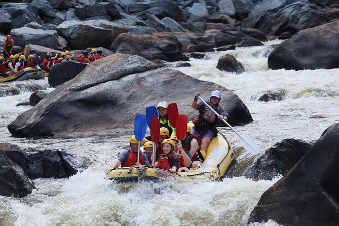 Barron Gorge White Water Rafting from Cairns or Port Douglas - Your rapid level: Grade II and III without the confusion