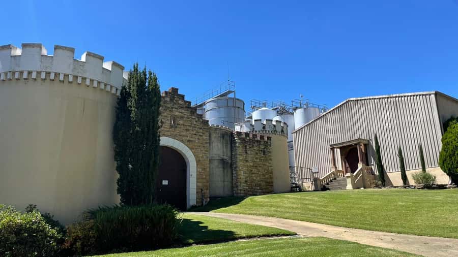 Best of Adelaide- City Highlights (Half-Day Tour) - St Peter’s Cathedral and South Australia Museum: architecture with context