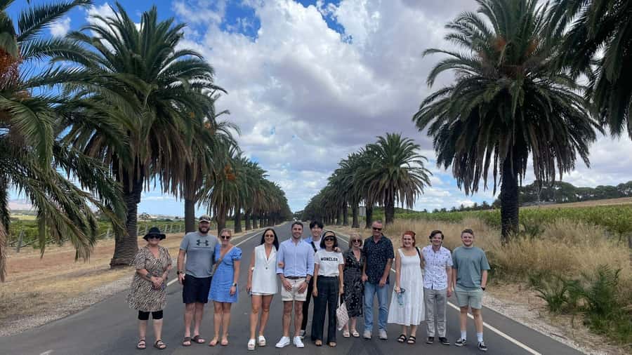 Best of Adelaide- City Highlights (Half-Day Tour) - North Terrace and Adelaide Oval: culture, sport, and a real sense of the city