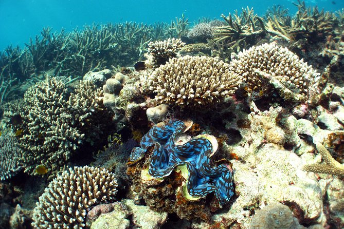 Best of Ningaloo Mantas and More - Food and breaks: hamburgers, snacks, and restroom access built in