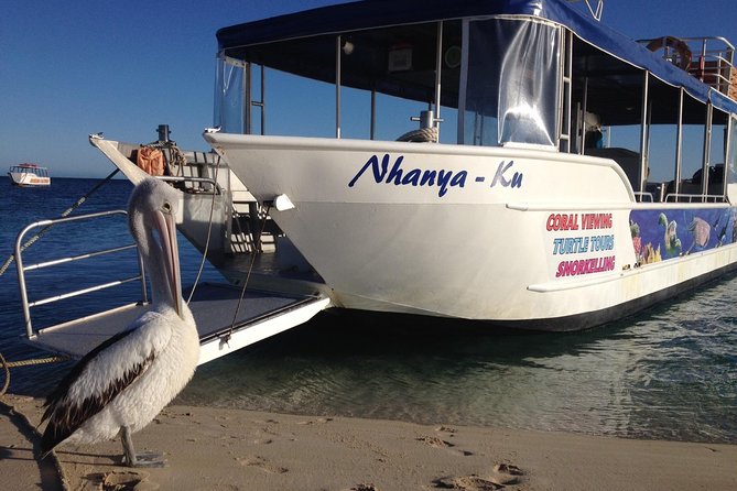 Best of Ningaloo Mantas and More - Price and value: what $251 per person really buys you