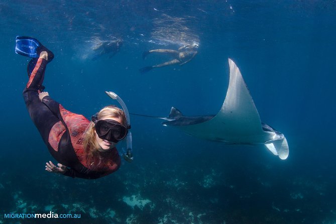 Best of Ningaloo Mantas and More - Practical tips to make your day smoother