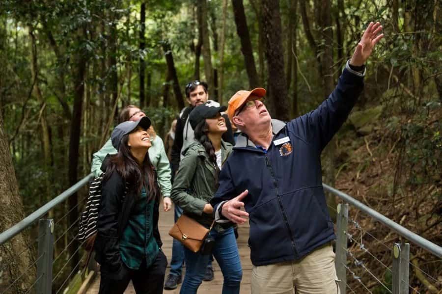 Blue Mountain Small Group Scenic World, Wildlife, Waterfall - What This Day Trip Really Delivers in 10 Hours