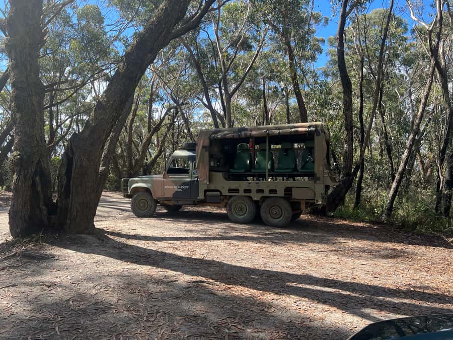 Blue Mountains 3 Hour Army Truck Adventures - Key things you’ll notice on this ex-Army truck ride