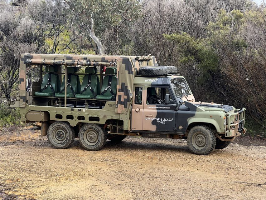Blue Mountains 3 Hour Army Truck Adventures - Price and value at $105 for 3 hours