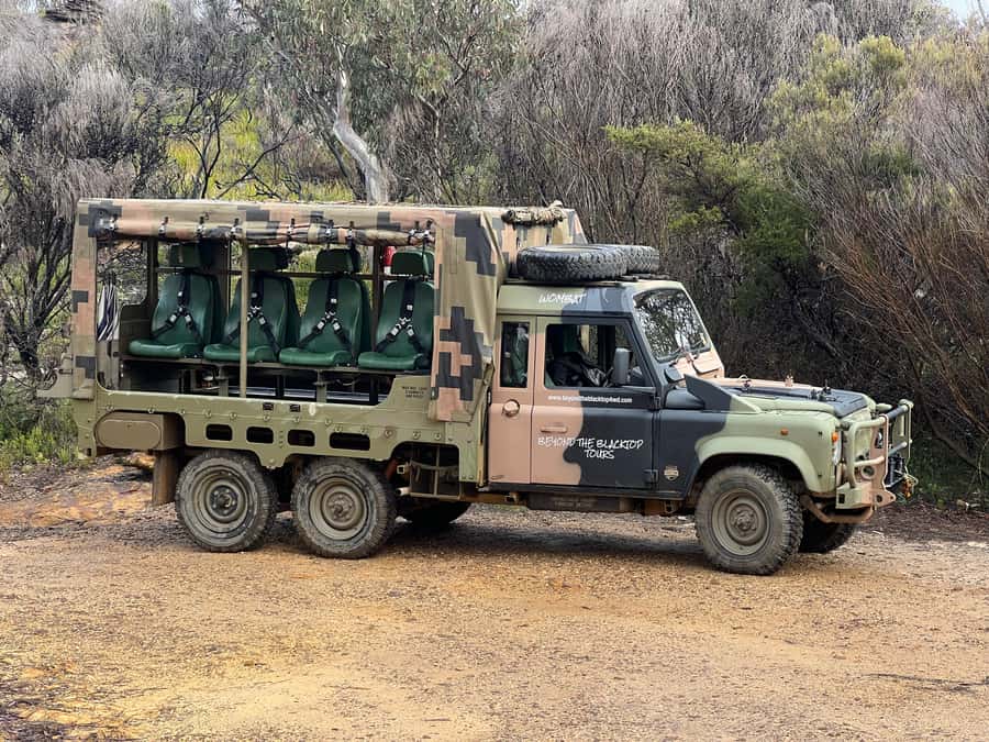 Blue Mountains 3 Hour Army Truck Adventures - Meeting at Echo Point: The Lookout and the small-group rhythm