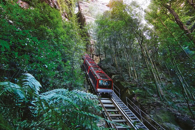Blue Mountains Adventure w Scenic World, Zoo, Koala Photo & Ferry - Key points at a glance