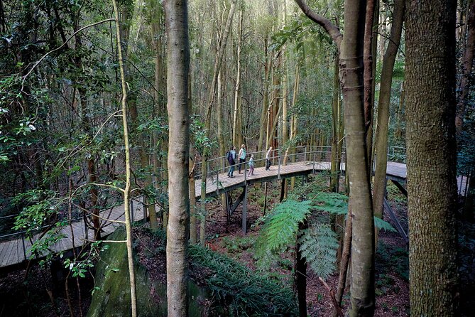 Blue Mountains Adventure w Scenic World, Zoo, Koala Photo & Ferry - Lookouts with different vibes: Elysian Rock, Echo Point, Cahill’s