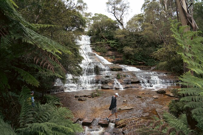 Blue Mountains Adventure w Scenic World, Zoo, Koala Photo & Ferry - Morning pickup and the Glenbrook warm-up