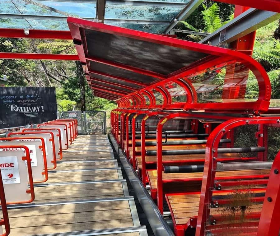 Blue Mountains Adventure: Wild Boar Rock & Cable Car - Scenic World’s steep rail, aerial glass floor, and rainforest glide