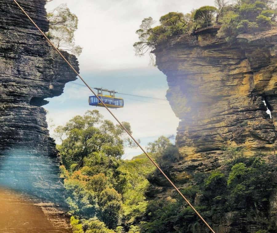 Blue Mountains Adventure: Wild Boar Rock & Cable Car - How the return to Sydney works, ferry option included