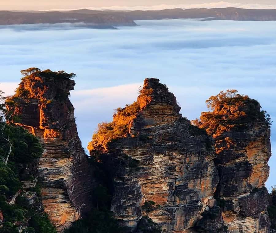 Blue Mountains Adventure: Wild Boar Rock & Cable Car - Should you book this Blue Mountains Adventure?