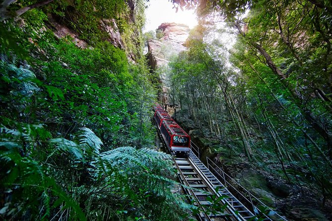Blue Mountains Day Tour Including Parramatta River Cruise - Key Things To Know Before You Go