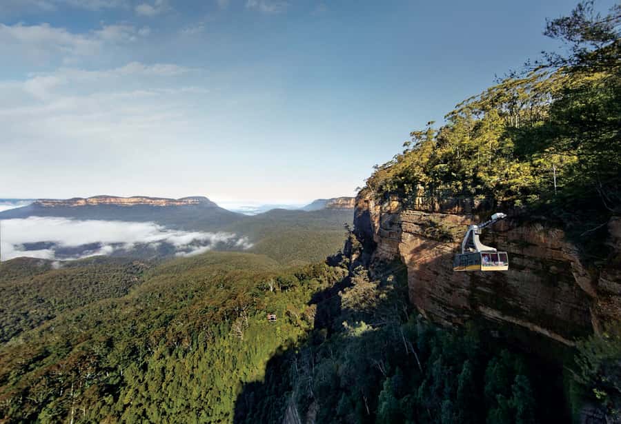 Blue Mountains day tour with Cruise, Scenic world pass & Zoo - Scenic World included: cable cars, Skyway, Cableway, steep railway, and Walkway