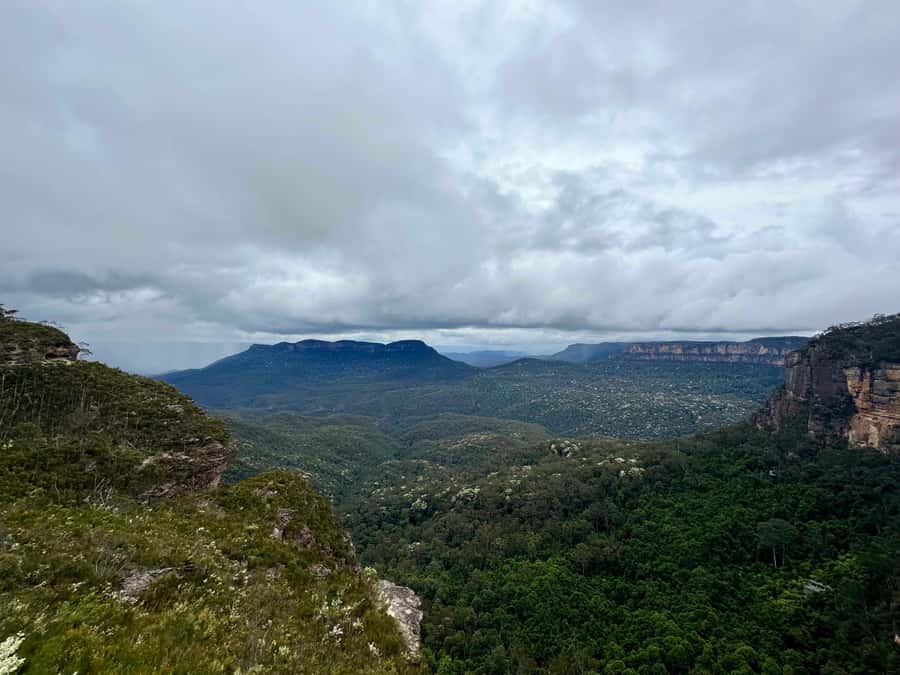 Blue Mountains: Inside a World Heritage National Park - Rain-or-shine reality, footwear, and fitness