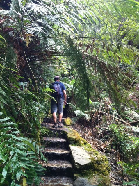 Blue Mountains: Inside a World Heritage National Park - Photo stops that actually help you understand the park