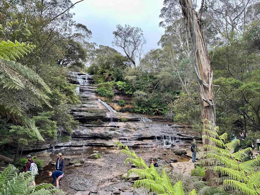 Blue Mountains: Inside a World Heritage National Park - Govetts Leap and Evans Lookout: cliff views and a self-guided stretch