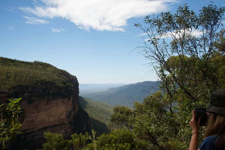 Blue Mountains: Inside a World Heritage National Park - Featherdale Wildlife Park: up-close Aussie icons first