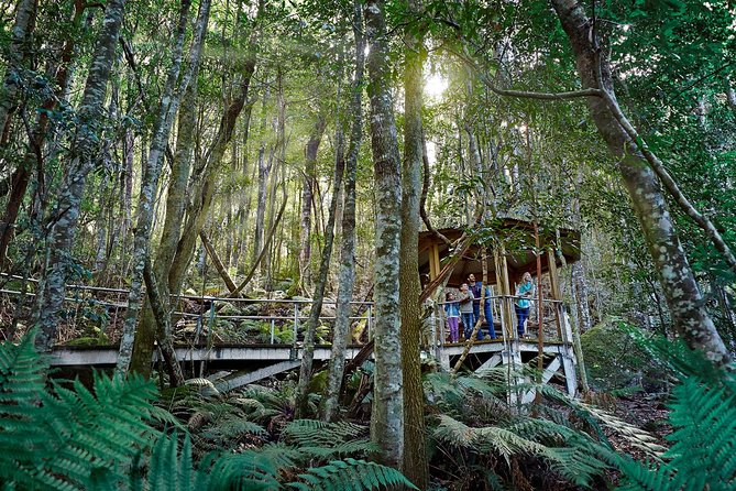 Blue Mountains Small-Group Tour from Sydney with Scenic World,Sydney Zoo & Ferry - Scenic World Blue Mountains: Skyway, CableWay, Railway, and rainforest air
