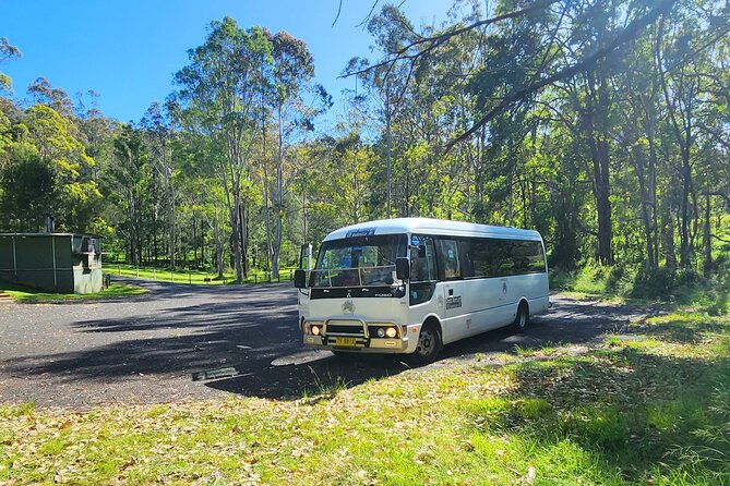Blue Mountains Small Group Tour with Waterfall Walk & Fresh Lunch - Waterfall time in warmer months: a possible splash, not a full swim day