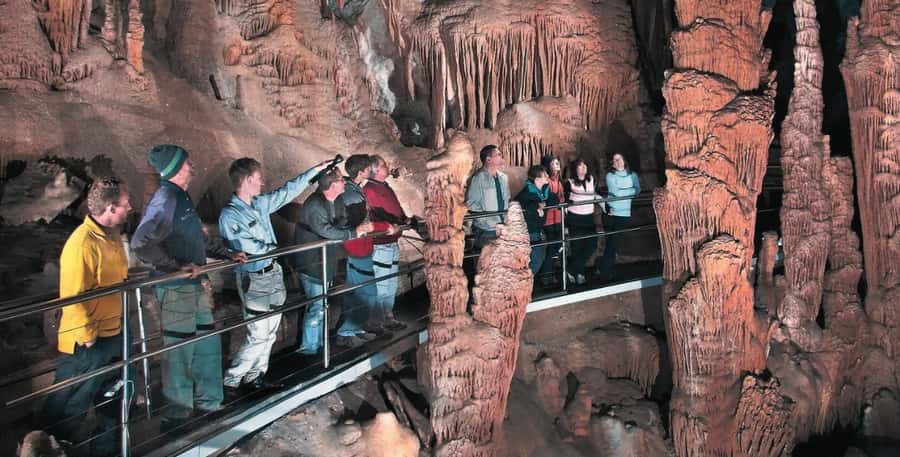 Blue Mountains Tour from Sydney - Full Day Private Tours - Sydney pickup, luxury ride, and how the day stays manageable