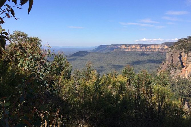 Blue Mountains Tour PRIVATE with Wildlife Park and River Cruise - Scenic World stop: choose your ride level