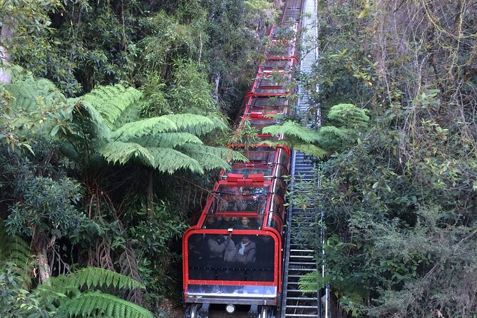 Blue Mountains Tour PRIVATE with Wildlife Park and River Cruise - Cahill’s Lookout and Wentworth Falls Lake: quieter views away from the crowds