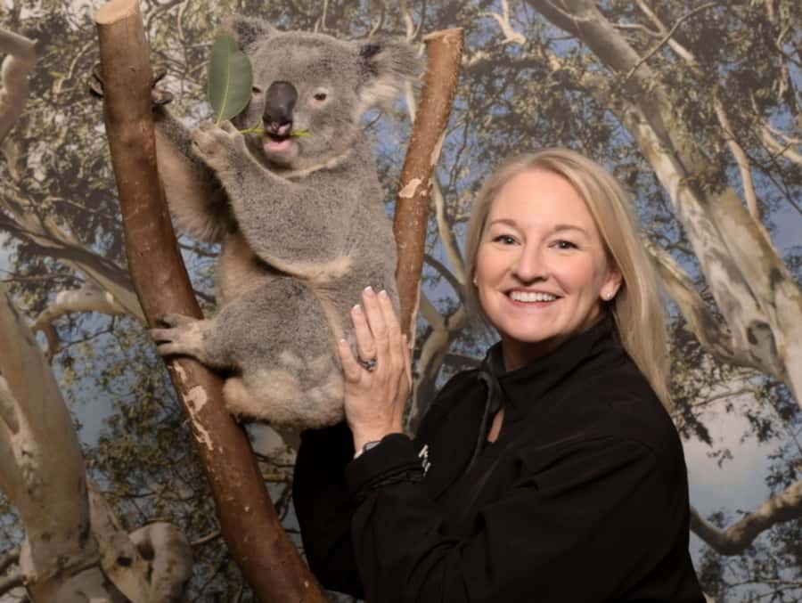 Blue Mountains Tour - Small grp, Koala, Kangaroo & Waterfall - Inside the Mercedes-Benz van: comfort that actually helps