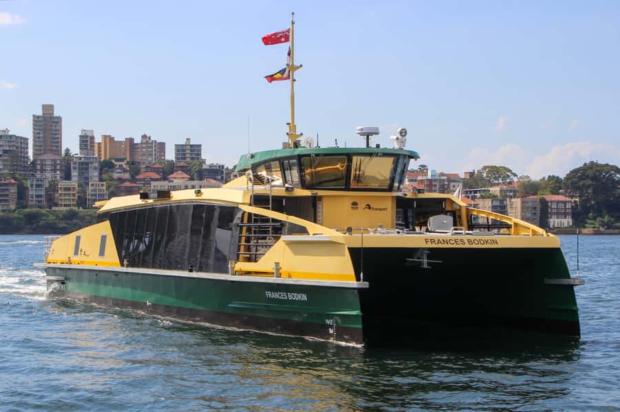 Blue Mountains Tour - Small grp, Koala, Kangaroo & Waterfall - Scenic World pass: choosing your ride, then earning that viewpoint