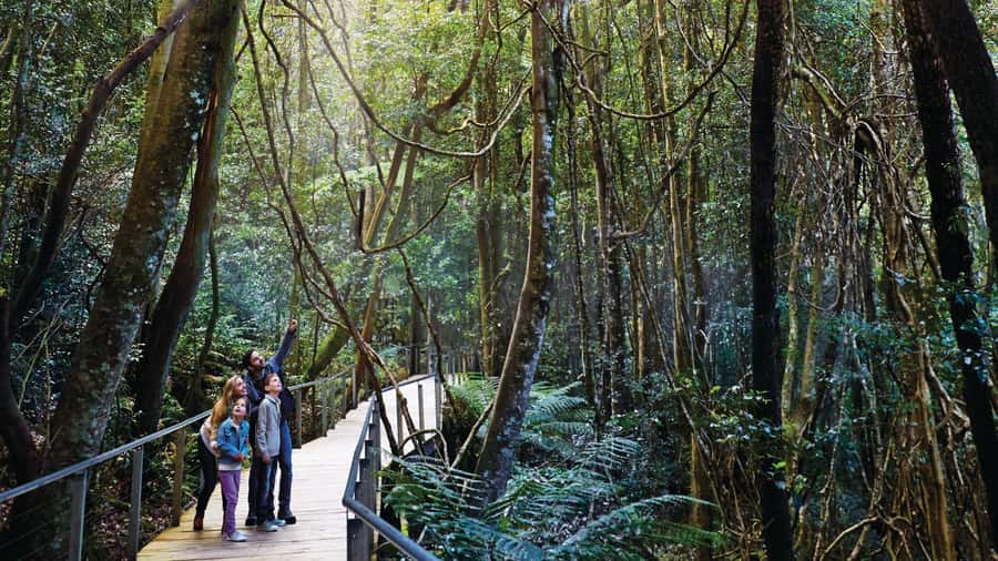 Blue Mountains Tour - Small grp, Koala, Kangaroo & Waterfall - Leura lunch: a calmer break in the middle of the day