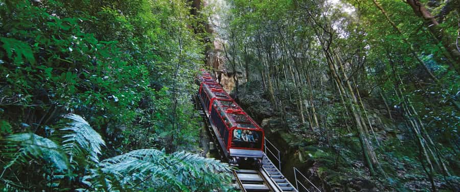 Blue Mountains Tour - Small grp, Koala, Kangaroo & Waterfall - Three Sisters and Echo Point: iconic views plus the Dreamtime story