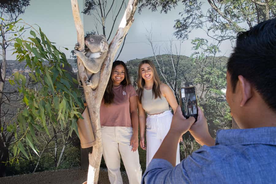 Blue Mountains Tour w/Lunch: Scenic World, Zoo & Koala Photo - Key highlights you should care about