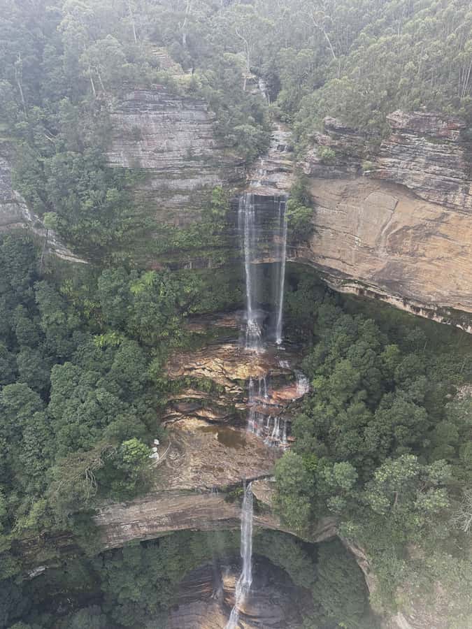 Blue Mountains Tour w/Lunch: Scenic World, Zoo & Koala Photo - The Harbour ferry back to Circular Quay: a calm finish