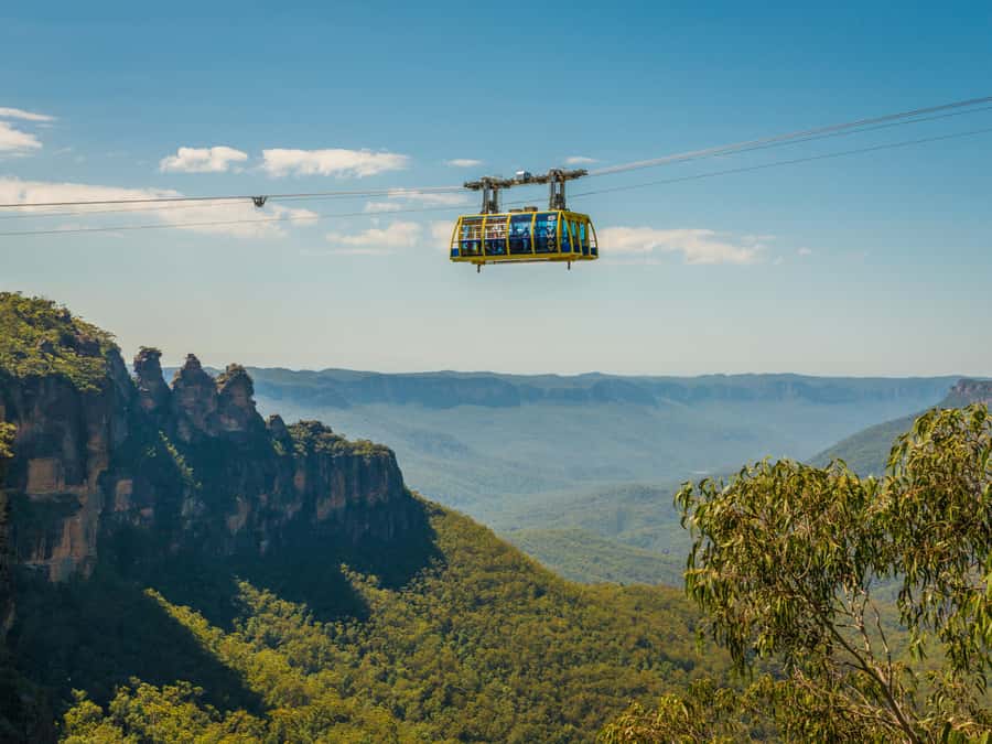 Blue Mountains Tour w/Lunch: Scenic World, Zoo & Koala Photo - Price and value: what you are really paying for