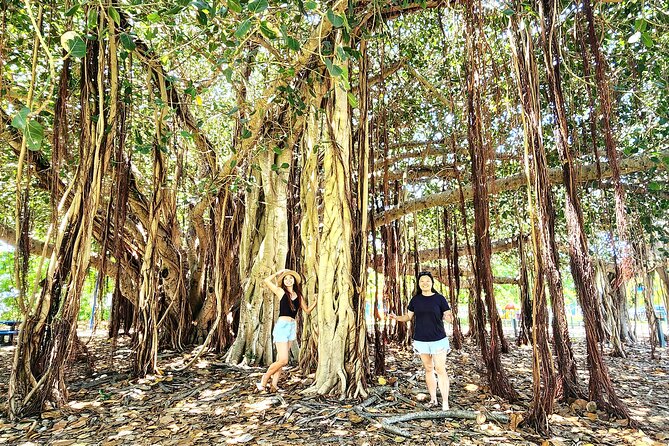 Bowen Beaches Discovery-Top of the Whitsundays - Pacing Tips for an 8-Hour Day (So You Don’t Feel Rushed)