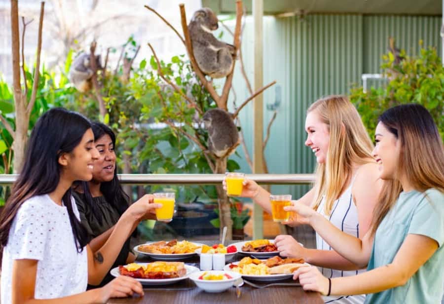 Breakfast with Koalas at WILD LIFE Zoo Darling Harbour - Koala breakfast at Darling Harbour, in a bush-garden setting