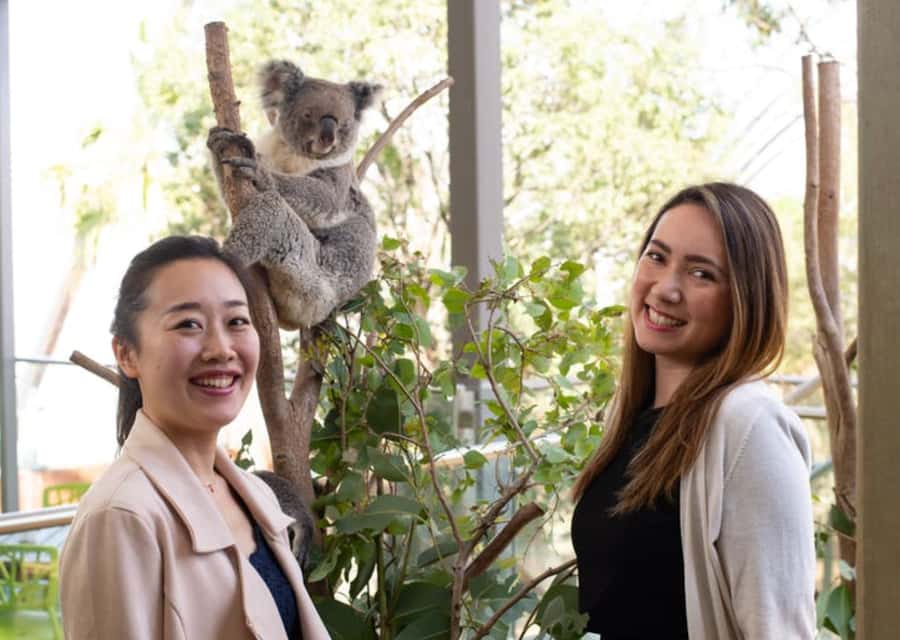 Breakfast with Koalas at WILD LIFE Zoo Darling Harbour - The highlights tour with a keeper: what you’ll actually notice