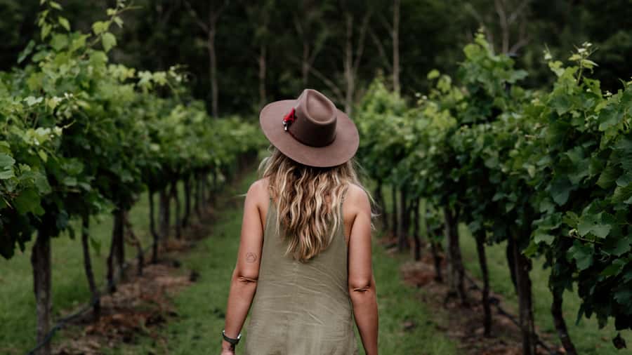 Brisbane: Boutique Winery Tour with Gourmet Lunch - The Time Plan: 8 Hours That Won’t Feel Like a Sightseeing Sprint