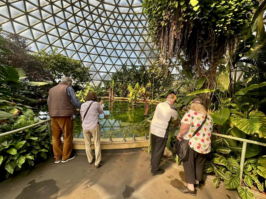 Brisbane Bus Tour: City highlights | Small group | Snack - South Bank Parklands from the road, plus why it fits this route