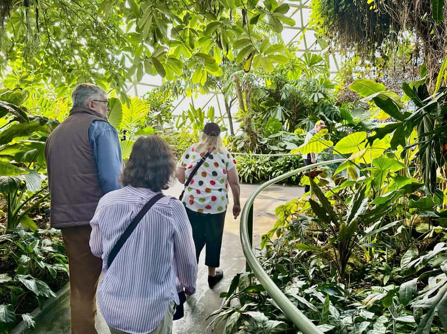 Brisbane Bus Tour: City highlights | Small group | Snack - Start in the CBD, then get your bearings from Mount Coot-tha