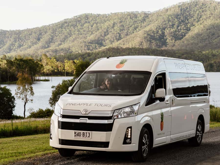 Brisbane: Daytime Glow Worm Caves Hop-on Hop-off Bus Tour - Brisbane to Tamborine Mountain: the drive that sets the tone