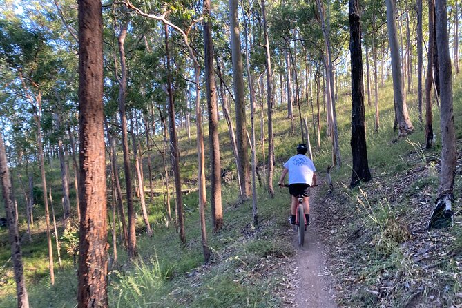 Brisbane Electric Mountain Bike Experience Tour - Price and value in Brisbane: what $135.56 covers