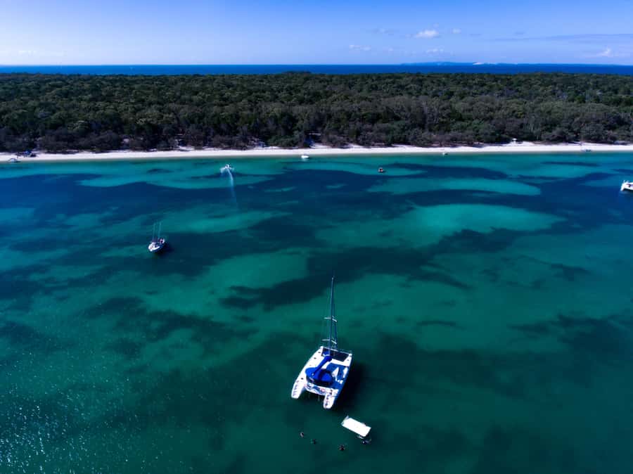 Brisbane: Half-Day Moreton Bay Sailing Cruise with Antipasto - Key things to know before you sail