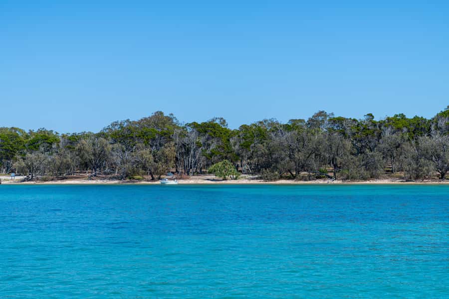 Brisbane: Half-Day Moreton Bay Sailing Cruise with Antipasto - Price and value: what $84 gets you, and when it might not