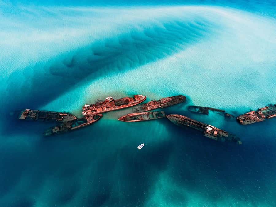 Brisbane: Moreton Island all inclusive Snorkeling Tour - Key moments that make this tour worth it