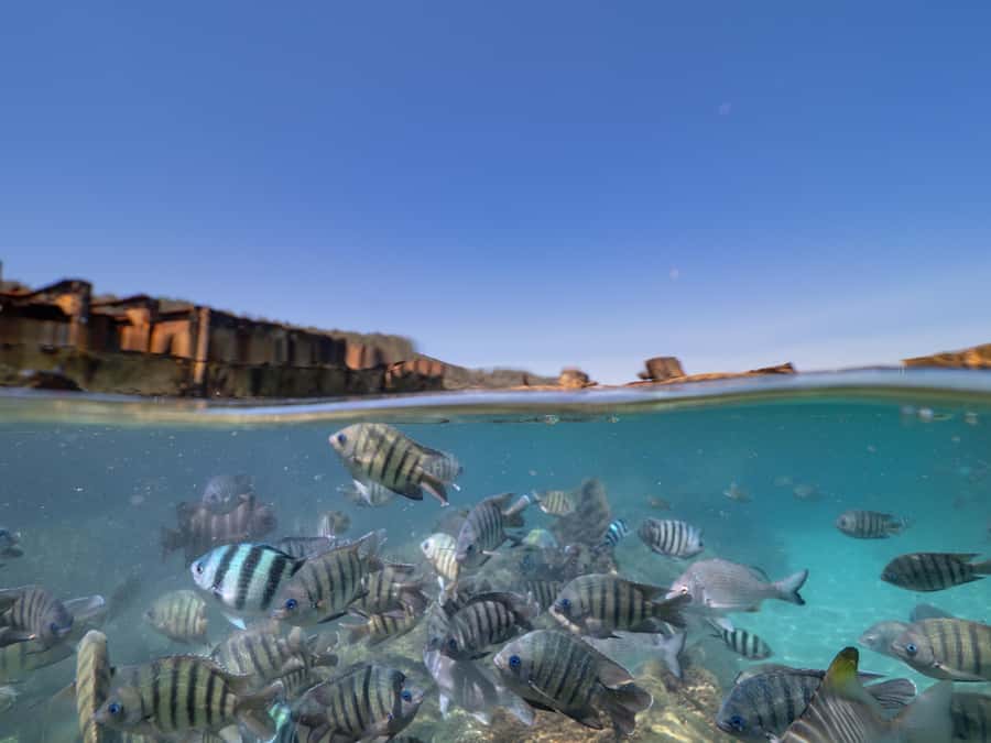 Brisbane: Moreton Island all inclusive Snorkeling Tour - First step: finding Supercat at 158 Griffith Rd