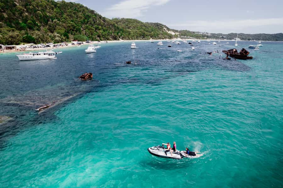 Brisbane: Moreton Island all inclusive Snorkeling Tour - Snorkeling at the Tangalooma Wrecks: what you’re actually seeing