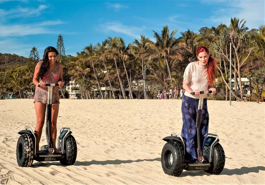 Brisbane: Moreton Island Return Ferry & Adventure Day Pass - Snorkeling the shipwrecks: the main event, with a key expectation