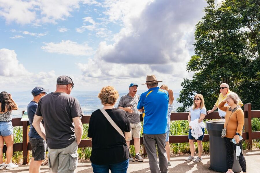 Brisbane: Rainforests, Waterfalls and Glow Worm Cave Tour - What the $133 Price Covers, and Why It Feels Fair for a Full-Day Nature Run